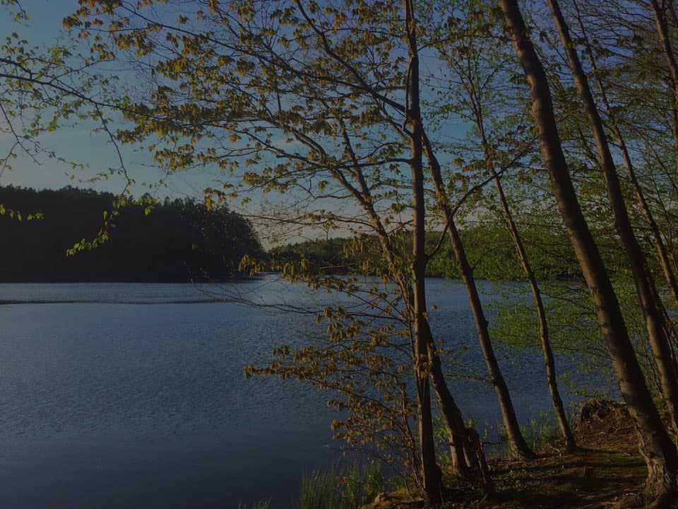 Dickens of a Christmas (Ebensburg)