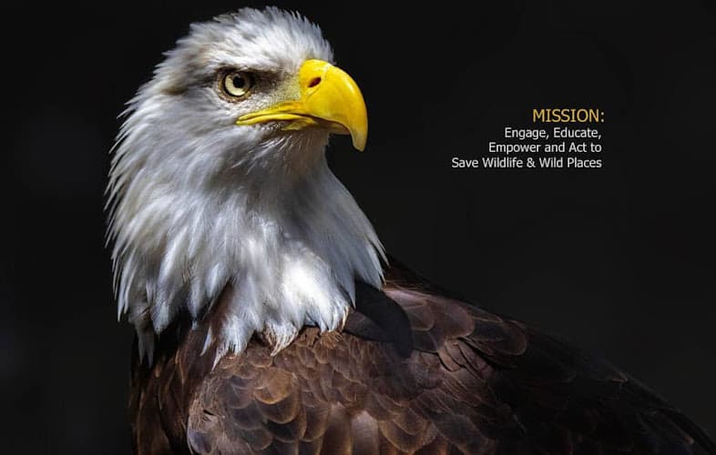 Hawk Creek Wildlife and Renaissance Festival