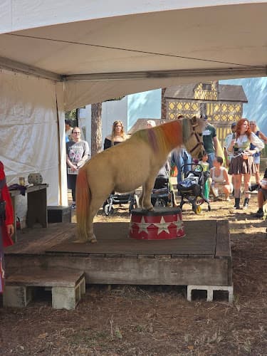 Lady of the Lakes Renaissance Faire