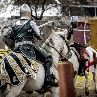 Riverdale Kiwanis Medieval Faire