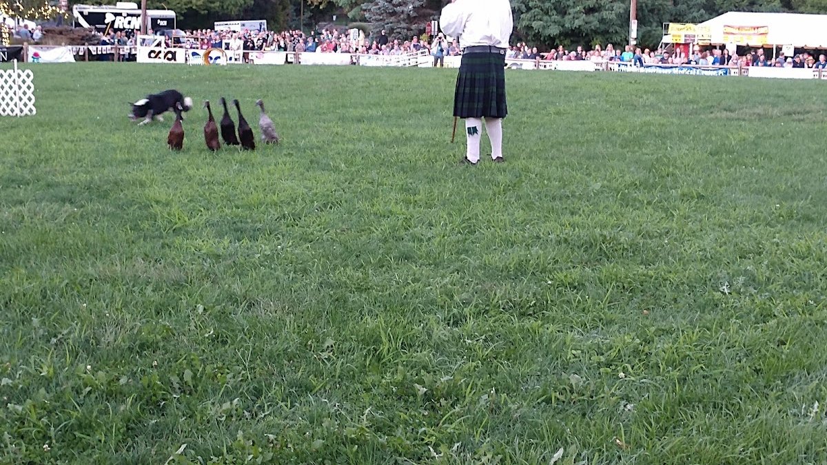 Celtic Classic Highland Games & Festival