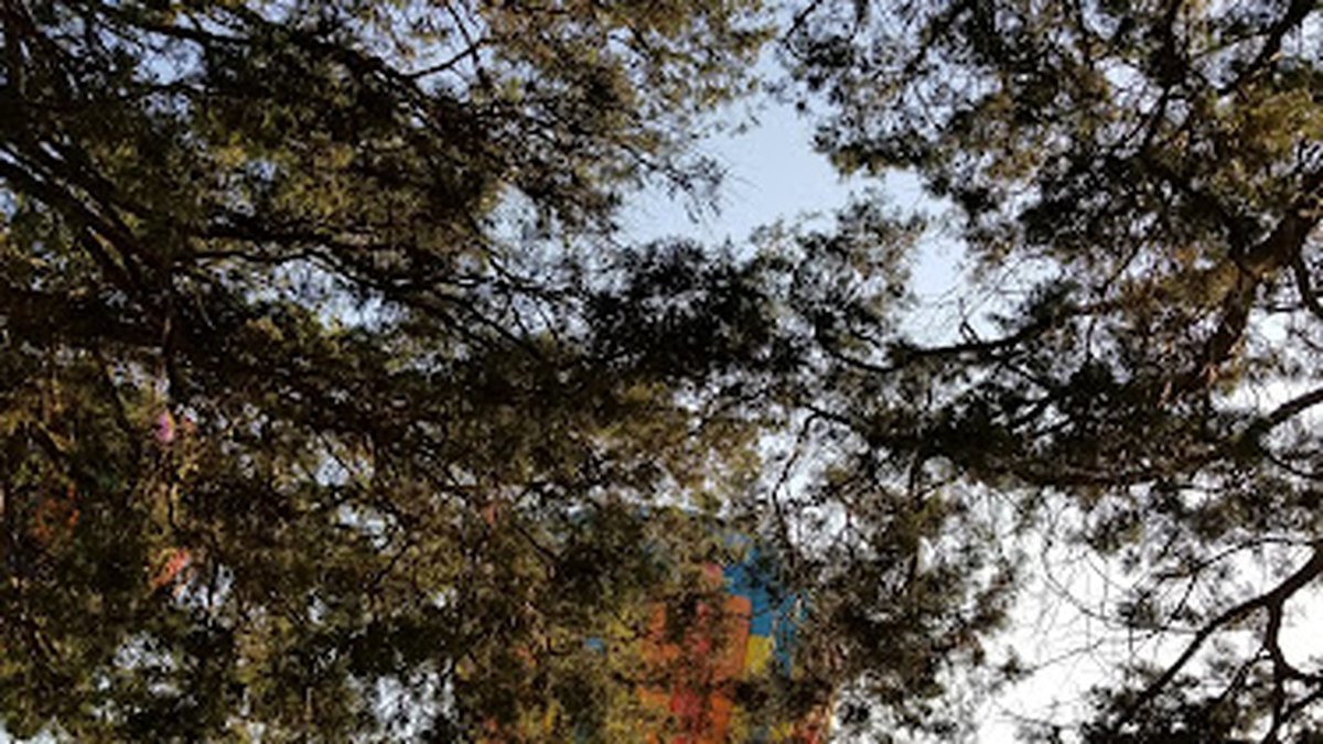 Celtic Festival of Southern Maryland