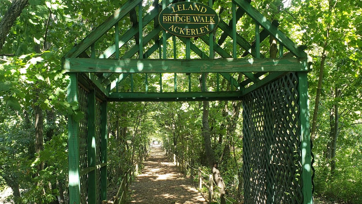 Centennial Gardens Fairie Forest Festival
