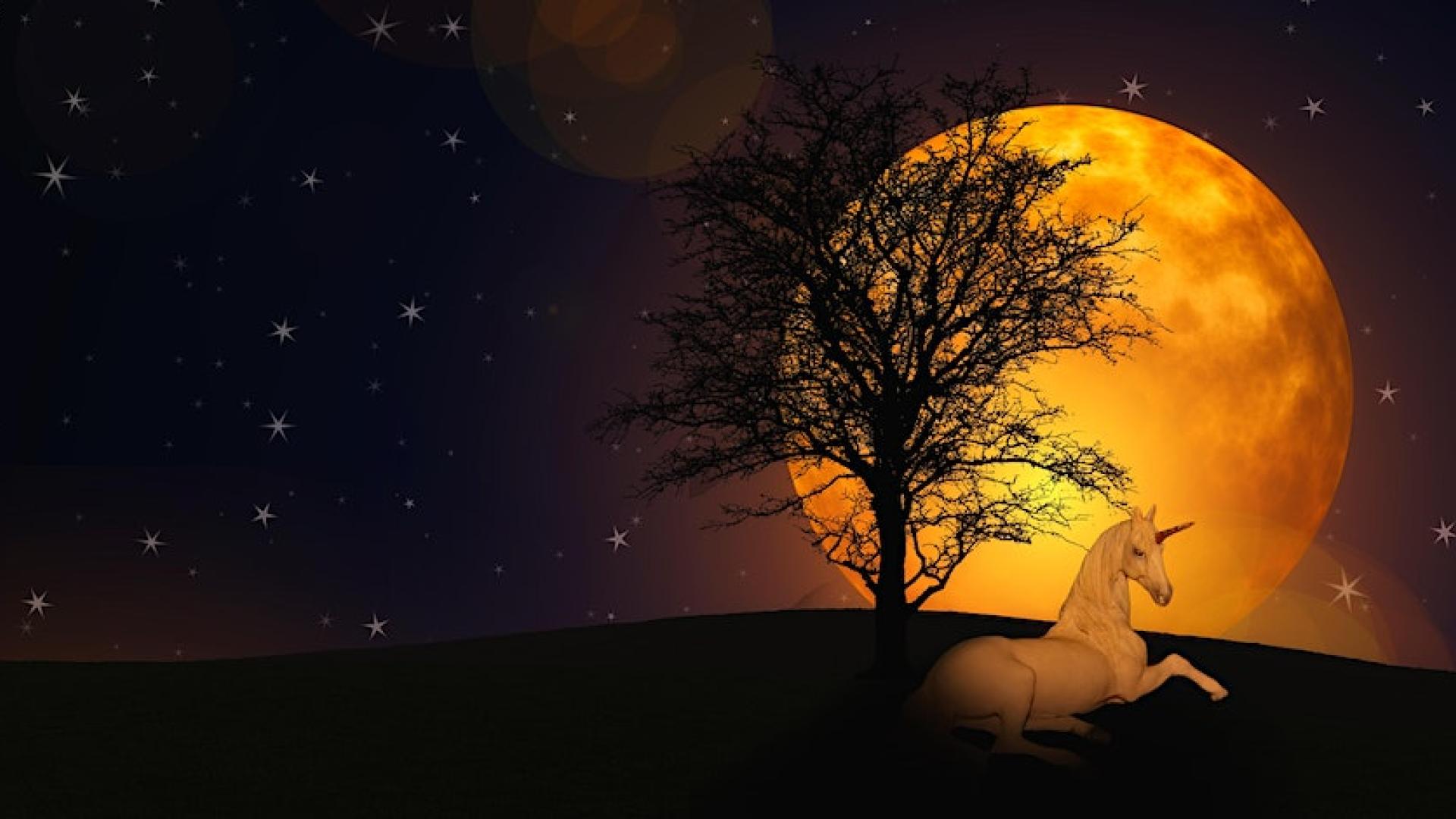 Elizabethtown NY Fairy and Magickal Creatures Festival