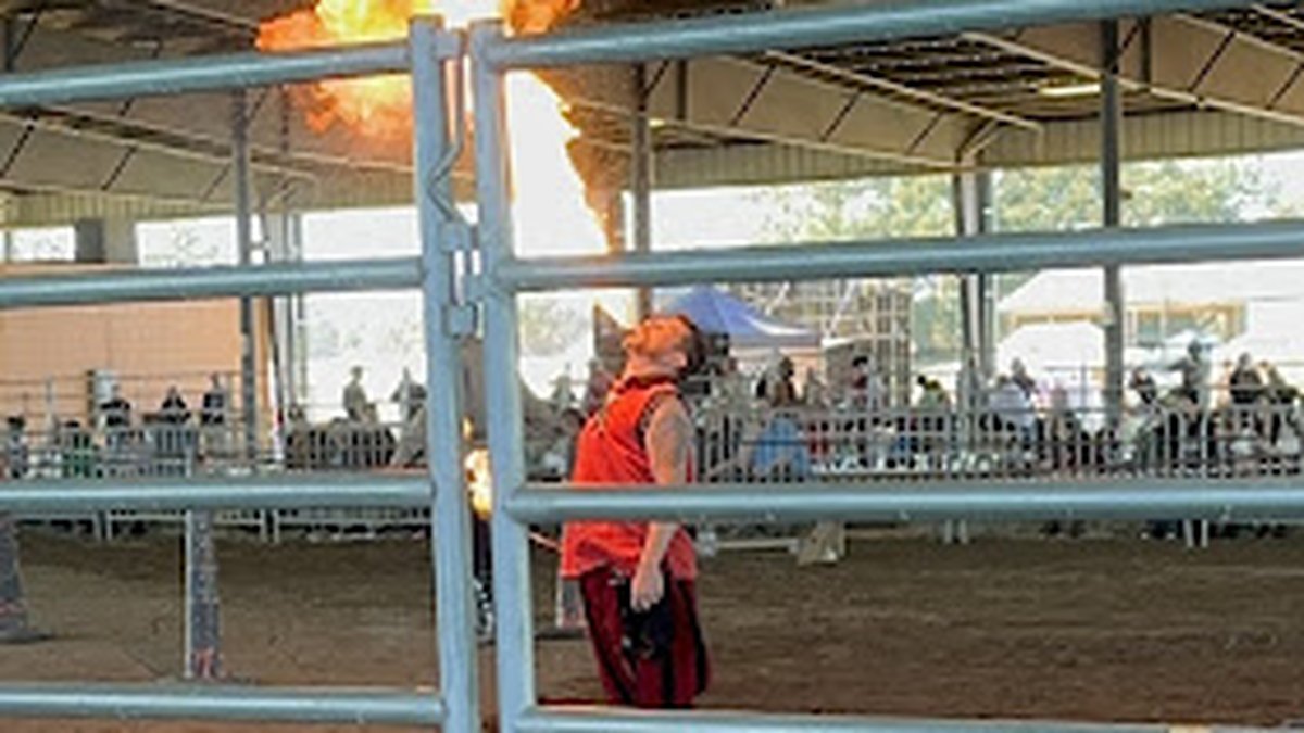 Gulf Coast Renaissance Faire
