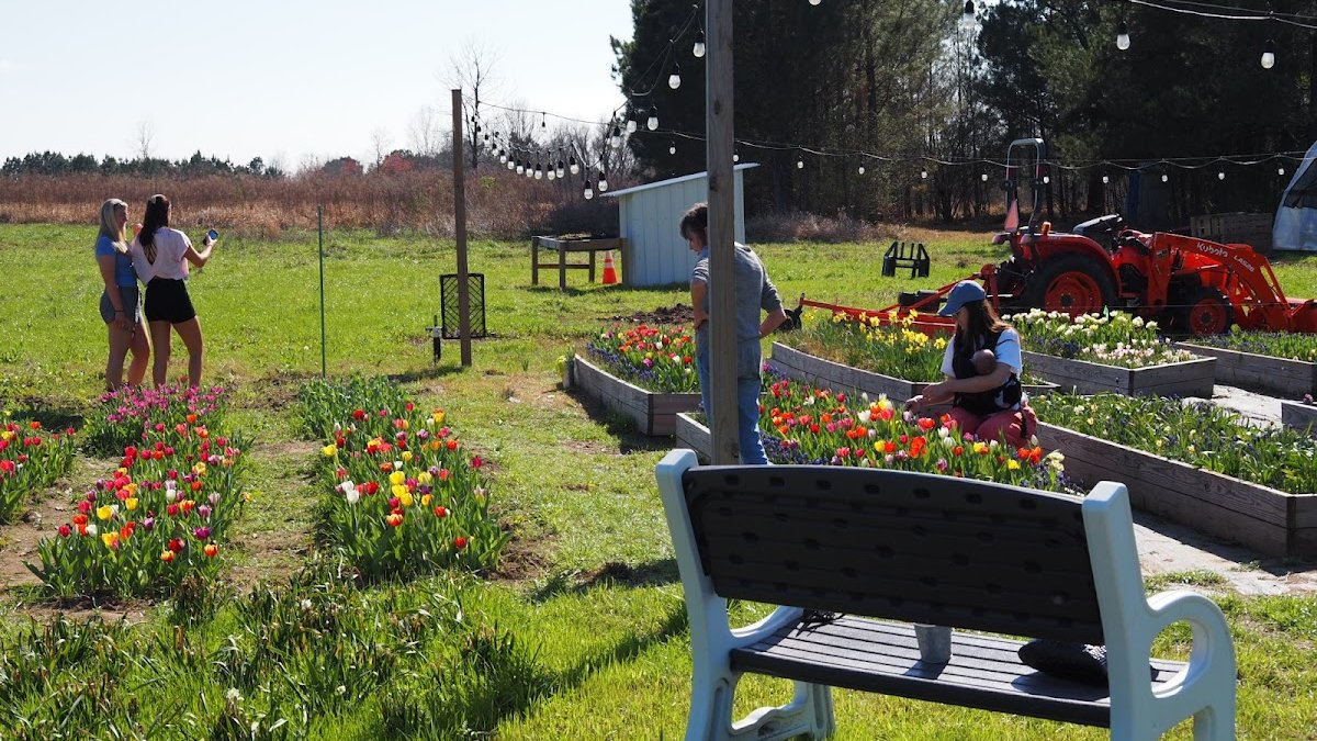Hattiesburg Botanic Garden Renaissance Faire