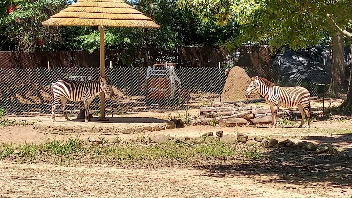Hattiesburg Zoo Renaissance Festival
