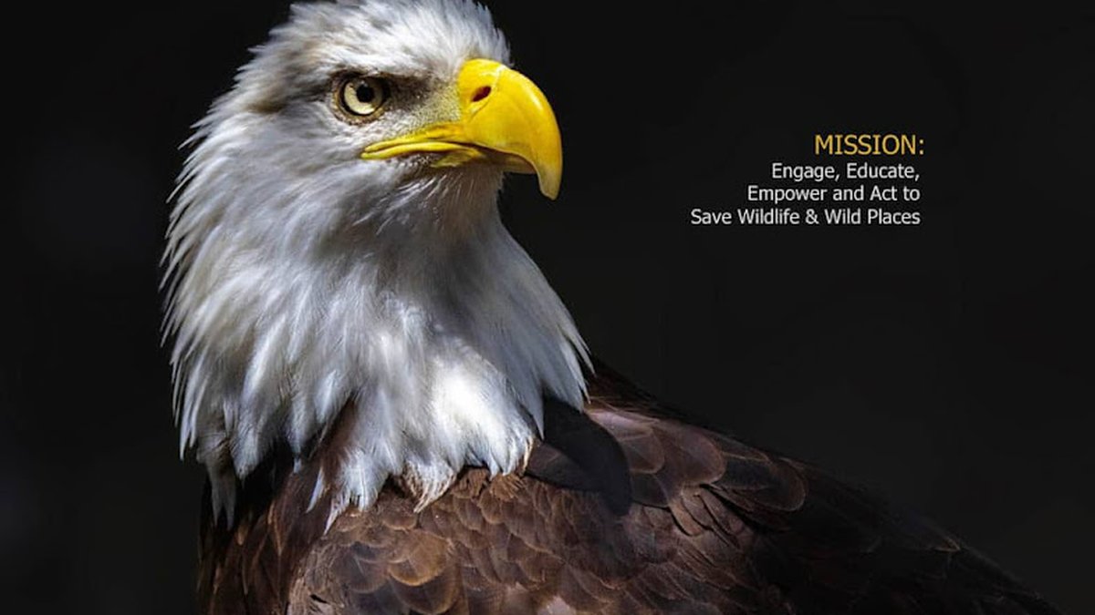 Hawk Creek Wildlife and Renaissance Festival