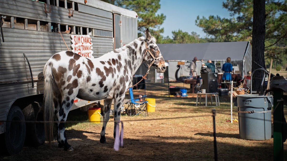 Jubilee Renaissance Faire