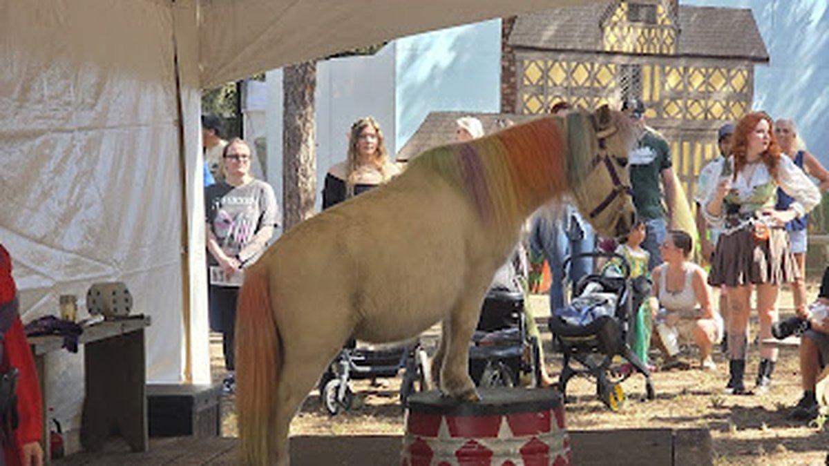 Lady of the Lakes Renaissance Faire