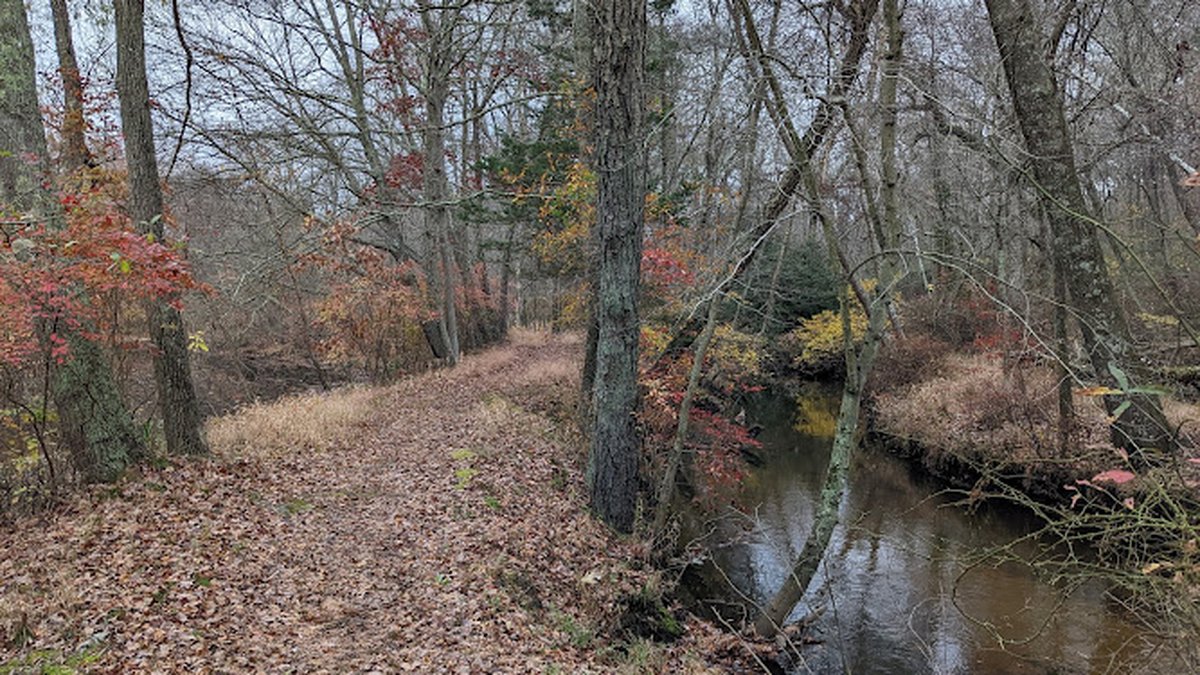 Lakewood Lions Charity Renaissance Faire