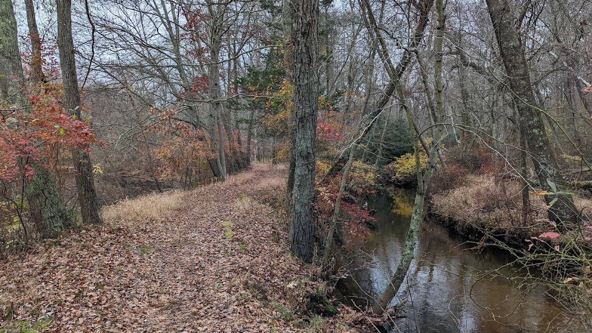 Lakewood Renaissance Faire