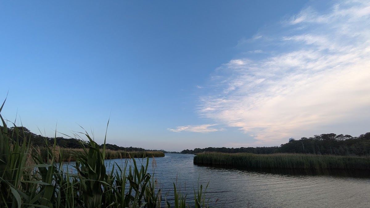Long Island Fairy Festival