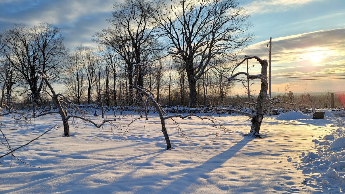 NorthFolk NightMarket: A Winter Festival