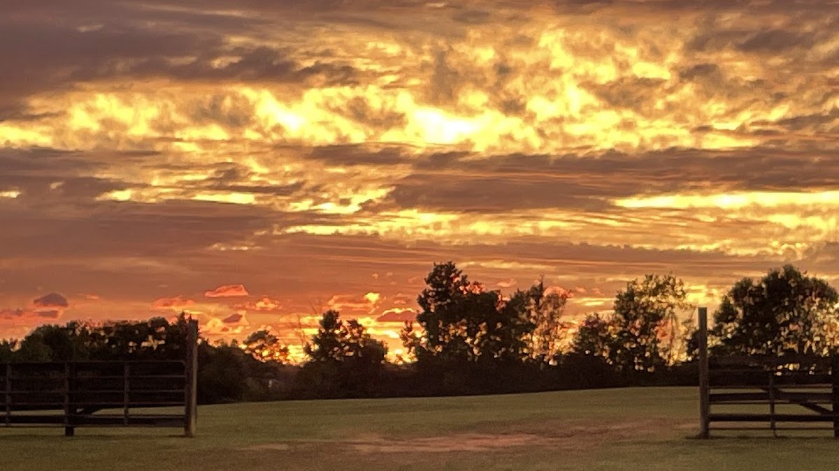 The Festival of Legends