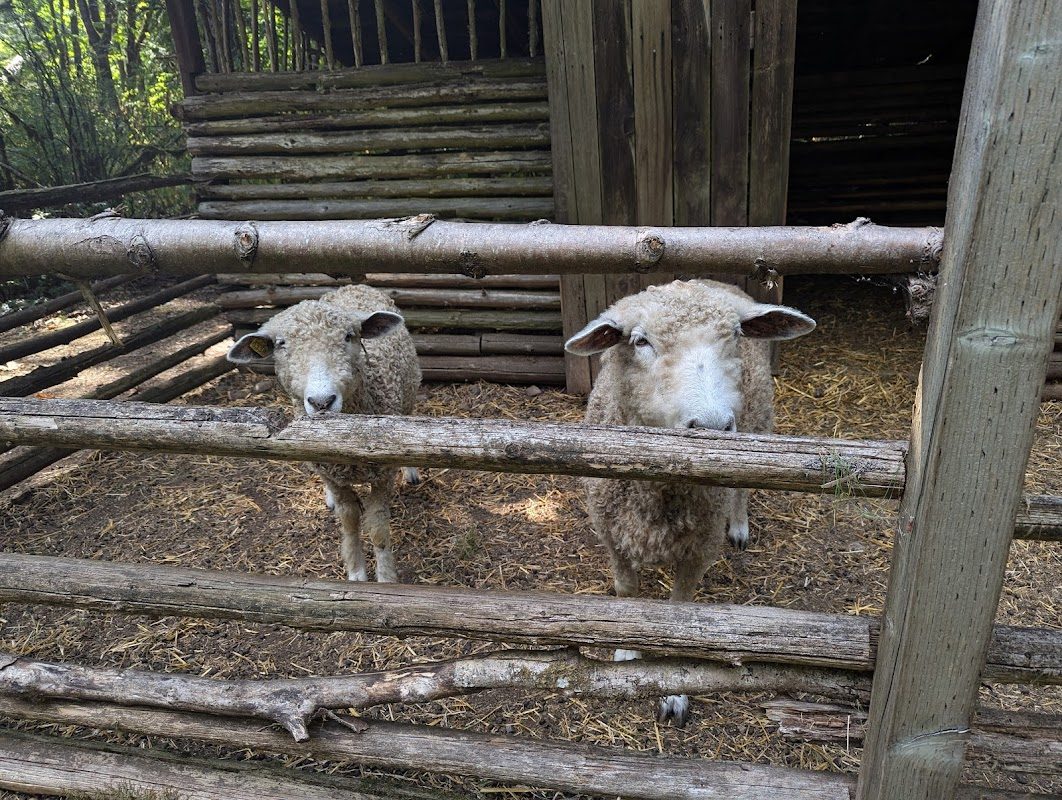 A Festival For May photo 3