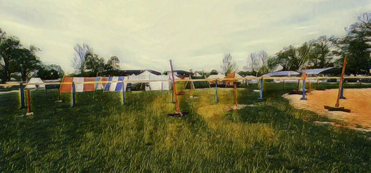 Ashville Viking Festival photo 1