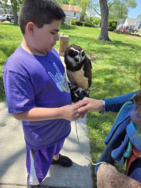 Ashville Viking Festival photo 3