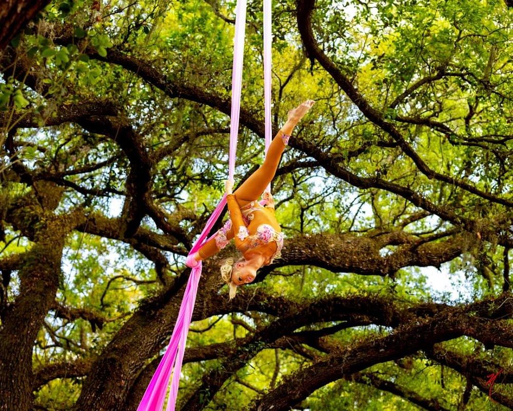 Bay Area Renaissance Festival photo 5