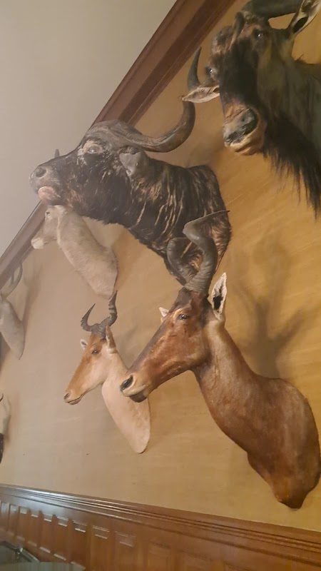 Bitterroot Scottish Irish Festival photo 3