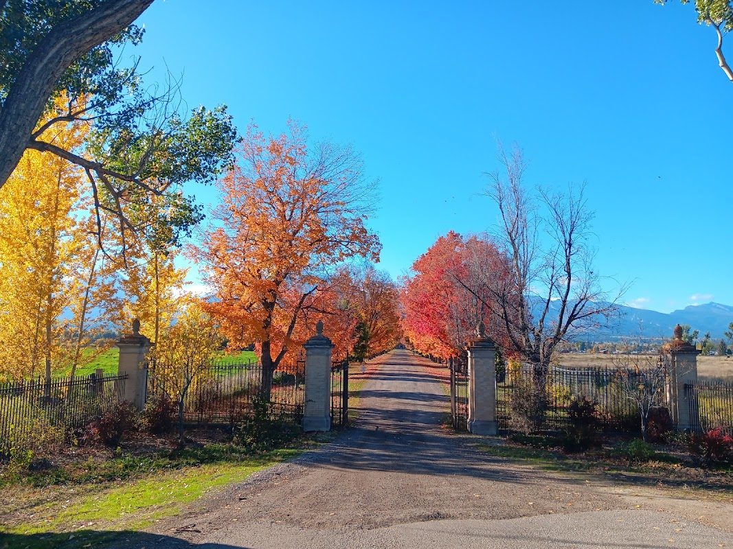 Bitterroot Scottish Irish Festival photo 4
