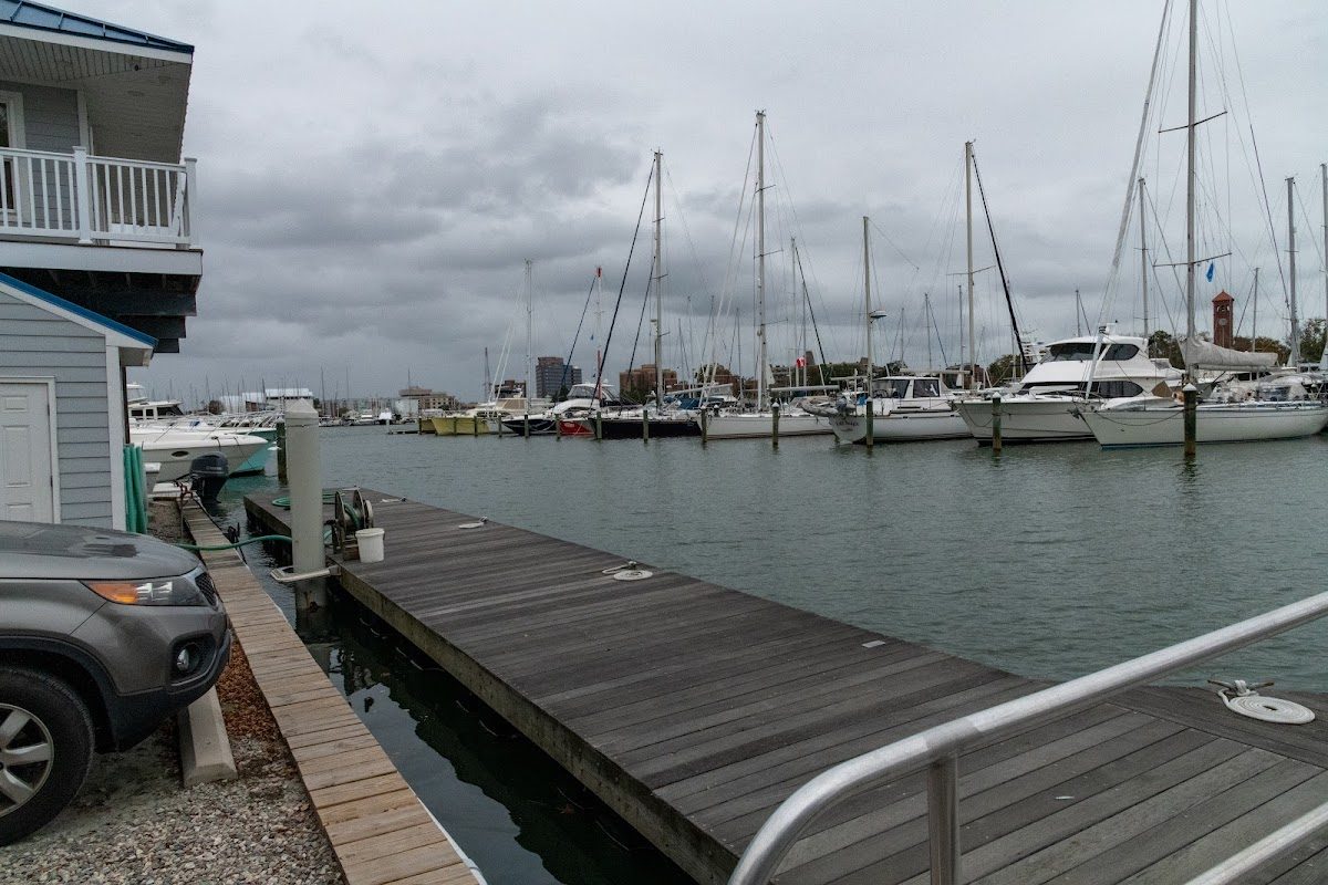 Blackbeard Pirate Festival photo 2