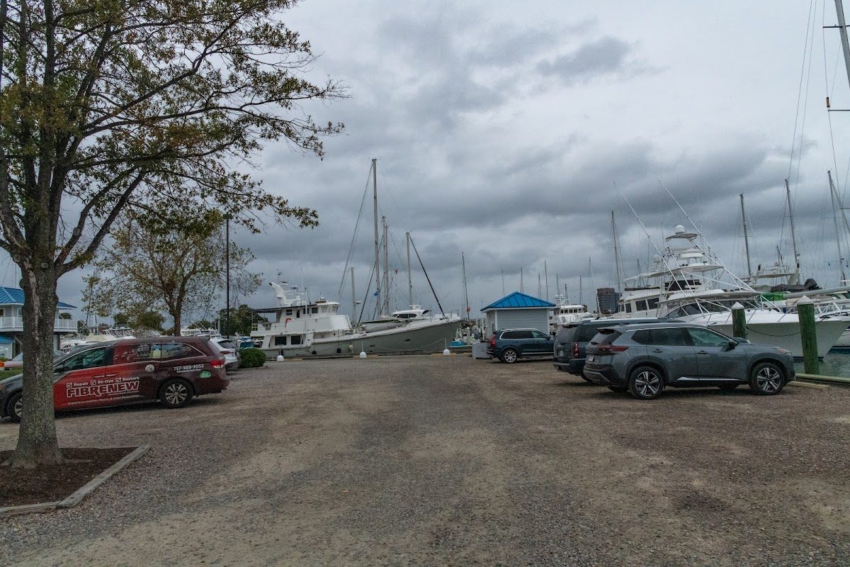 Blackbeard Pirate Festival photo 3