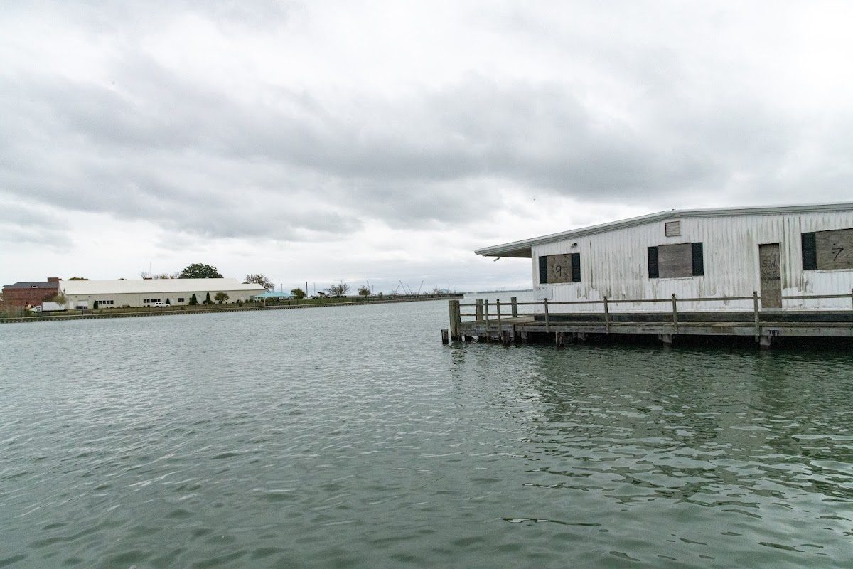 Blackbeard Pirate Festival photo 4