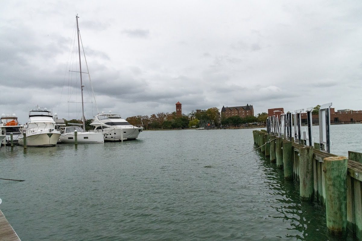 Blackbeard Pirate Festival photo 5