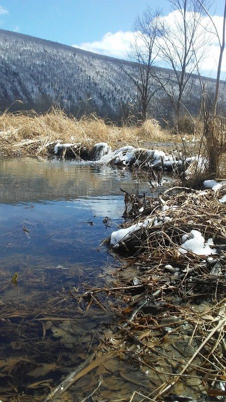 Captain Redbeard's Feast photo 2