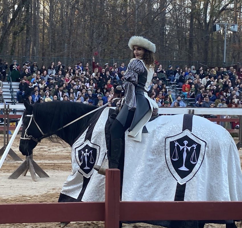 Carolina Renaissance Festival photo 4