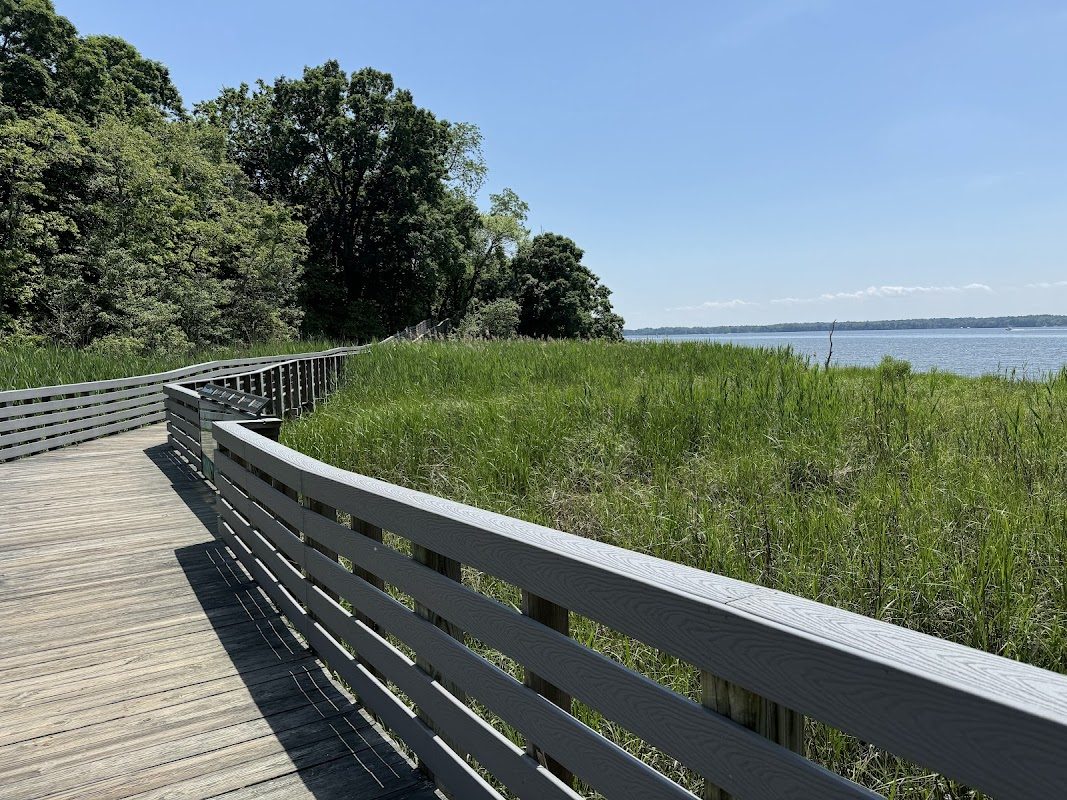 Celtic Festival of Southern Maryland photo 3