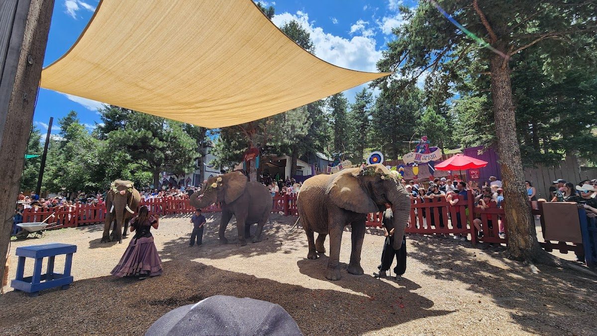 Colorado Renaissance Festival photo 3