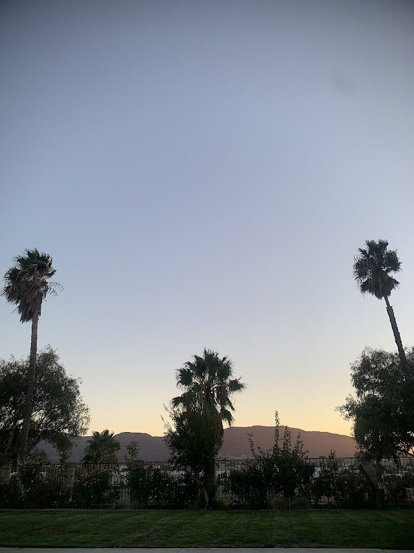 Cutthroats of Corona Pyrates Festival photo 3