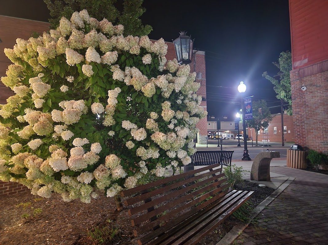 Dickens of a Christmas (Ebensburg) photo 1