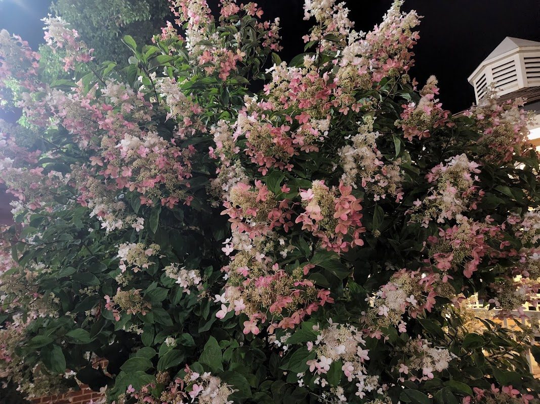 Dickens of a Christmas (Ebensburg) photo 2