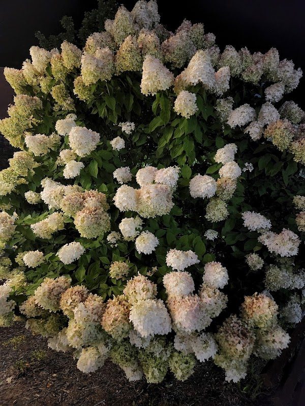 Dickens of a Christmas (Ebensburg) photo 3