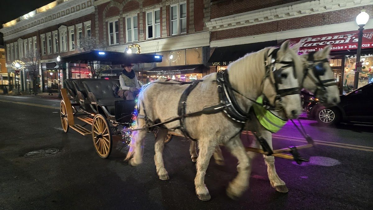 Dickens of a Christmas (Roanoke) photo 4