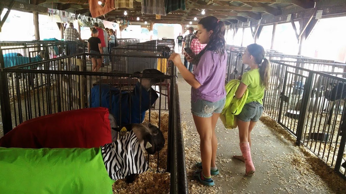 Enchanted Lakes Renaissance Faire photo 2