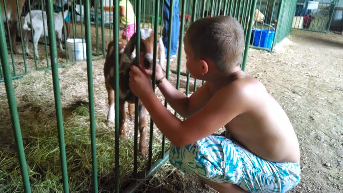 Enchanted Lakes Renaissance Faire photo 3