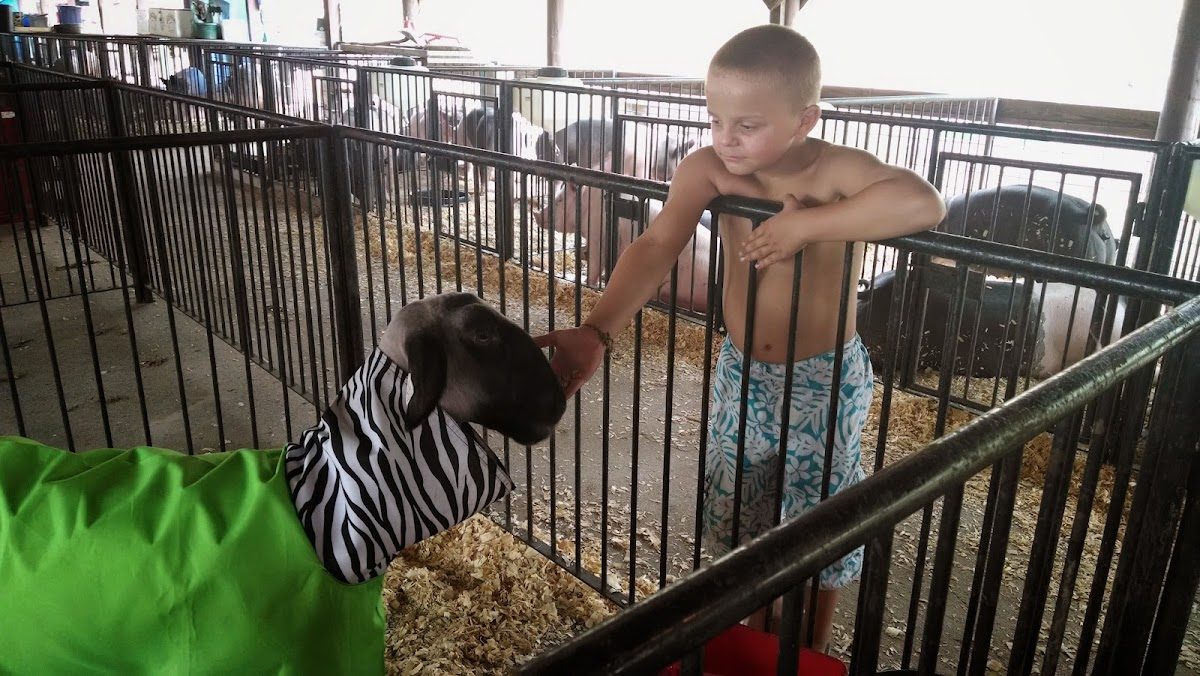 Enchanted Lakes Renaissance Faire photo 5