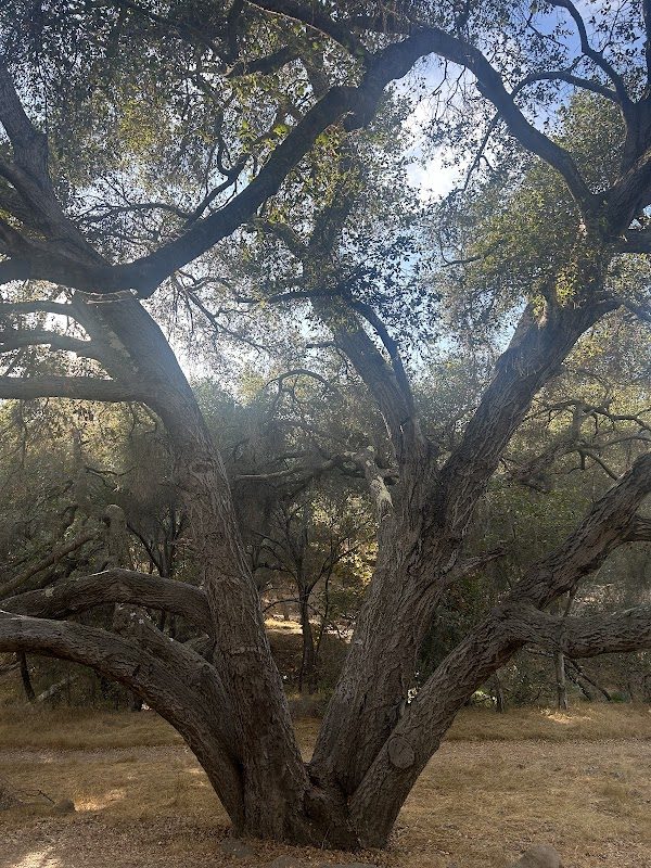 Escondido Renaissance Faire (Fall) photo 2