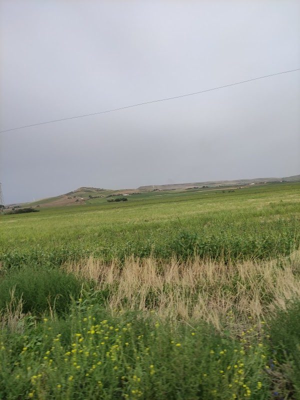 European Renaissance of Candela photo 4