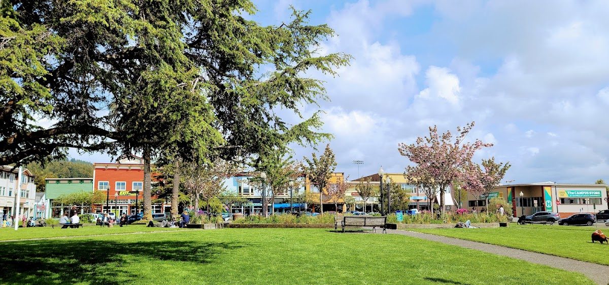 Excalibur Medieval Tournament photo 2