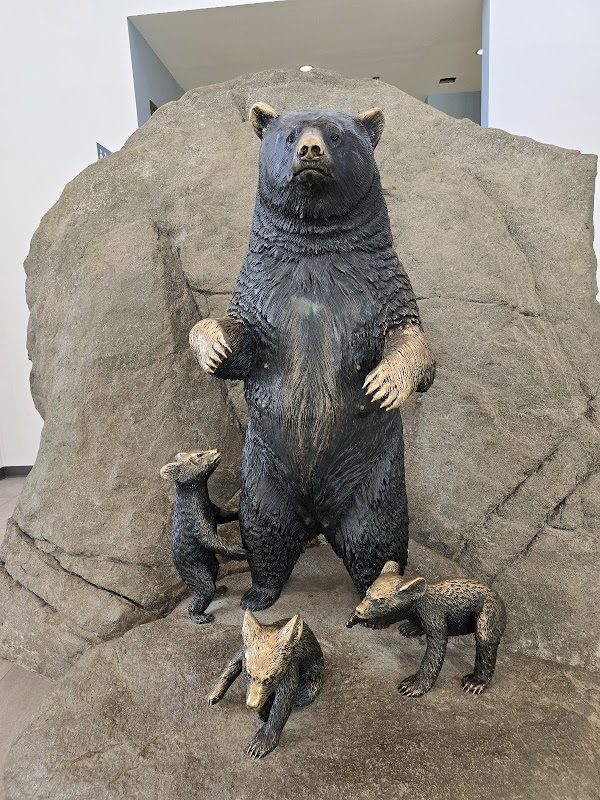 Grandfather Mountain Highland Games photo 2