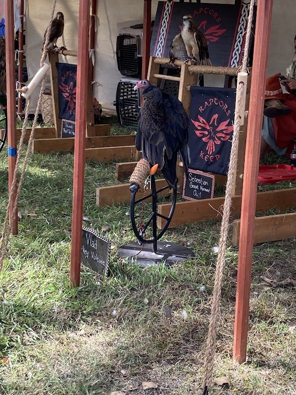 Great Bend Renaissance Faire photo 4