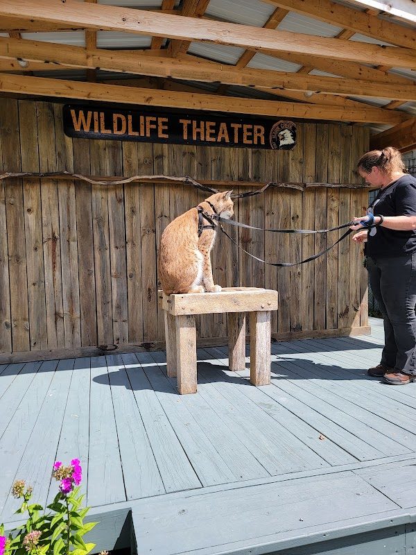 Hawk Creek Wildlife and Renaissance Festival photo 3