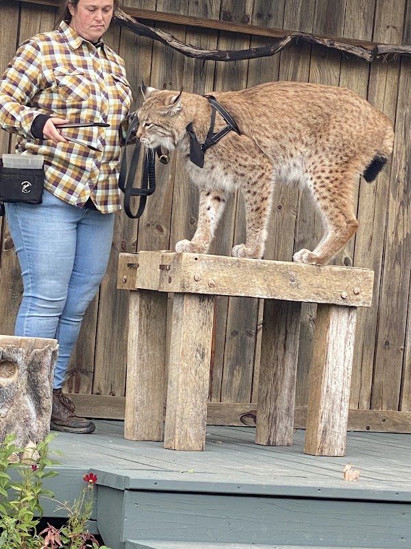 Hawk Creek Wildlife and Renaissance Festival photo 5