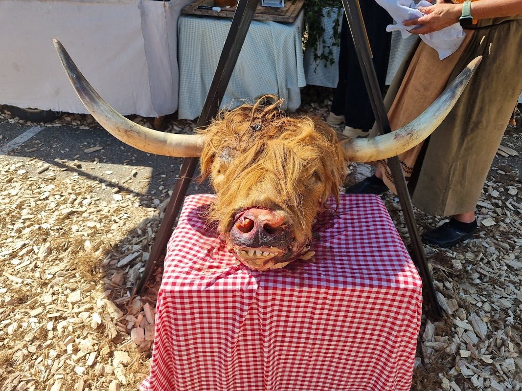 Horsens Medieval Festival photo 5