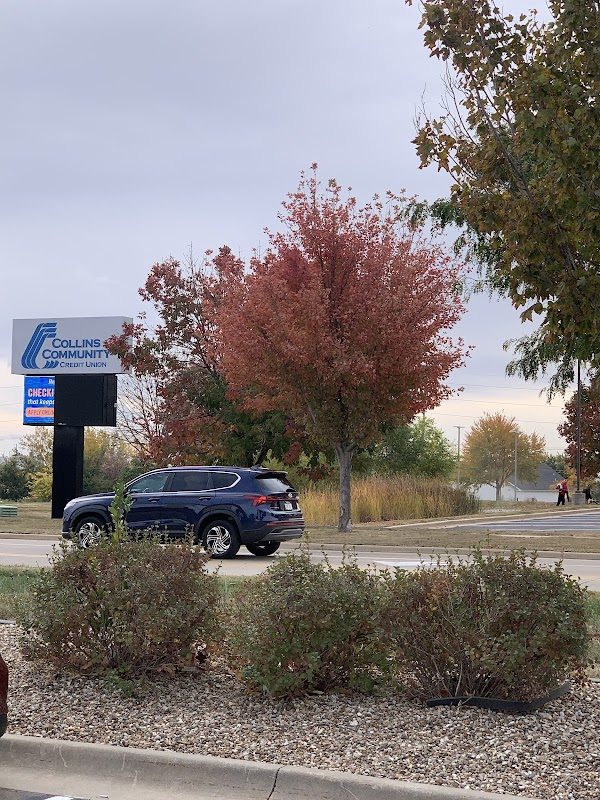Iowa Renaissance Festival photo 2
